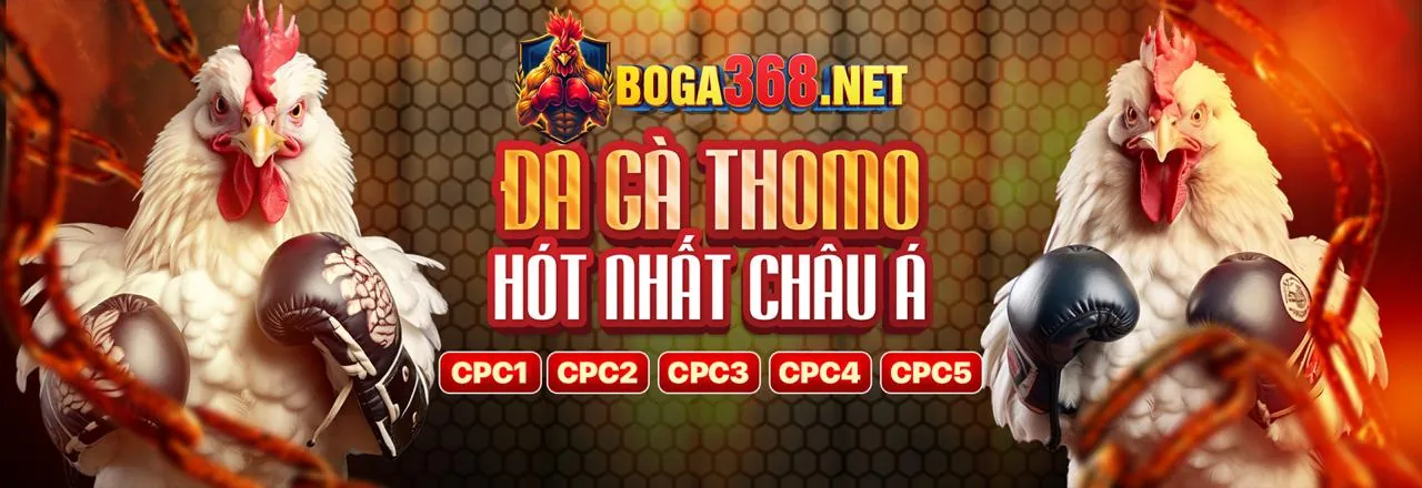 Thưởng chào mừng 88betvui nhà cái