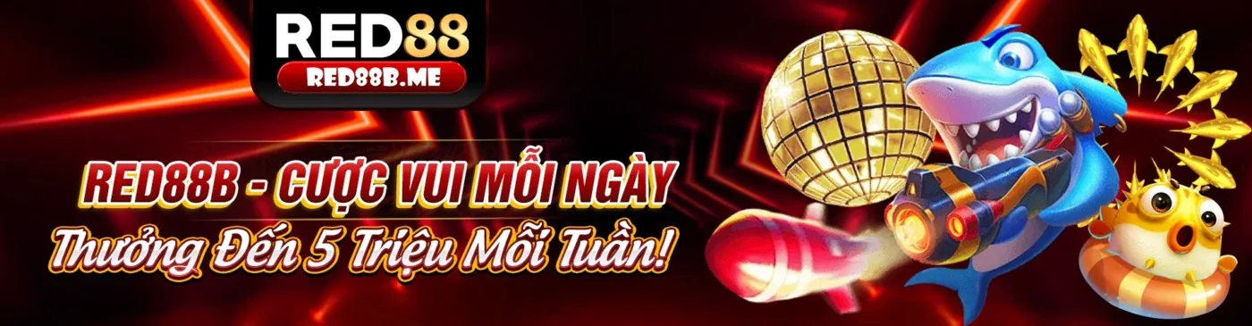 Tin tức 88betvui nhà cái